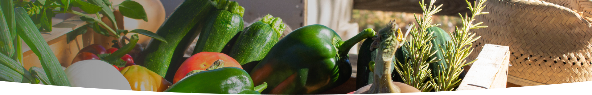 Cueillir ses légumes Assat, Cueillir ses légumes Nay, Cueillir ses légumes Pau, Jardins partagés Assat, Jardins partagés Nay, Jardins partagés Pau, Légumes bio locaux Assat, Légumes bio locaux Nay, Légumes bio locaux Pau, Maraicher bio Assat, Maraicher bio Nay, Maraicher bio Pau, Vente légumes ferme Assat, Vente légumes ferme Nay, Vente légumes ferme Pau