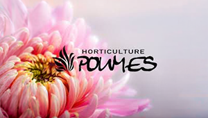 Cueillir ses légumes Assat, Cueillir ses légumes Nay, Cueillir ses légumes Pau, Jardins partagés Assat, Jardins partagés Nay, Jardins partagés Pau, Légumes bio locaux Assat, Légumes bio locaux Nay, Légumes bio locaux Pau, Maraicher bio Assat, Maraicher bio Nay, Maraicher bio Pau, Vente légumes ferme Assat, Vente légumes ferme Nay, Vente légumes ferme Pau