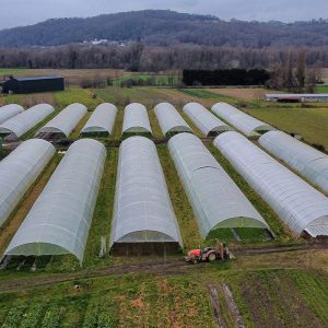 Abonnement annuel (Individuel)