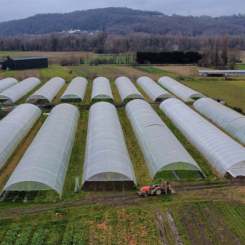 Abonnement annuel (Couple)