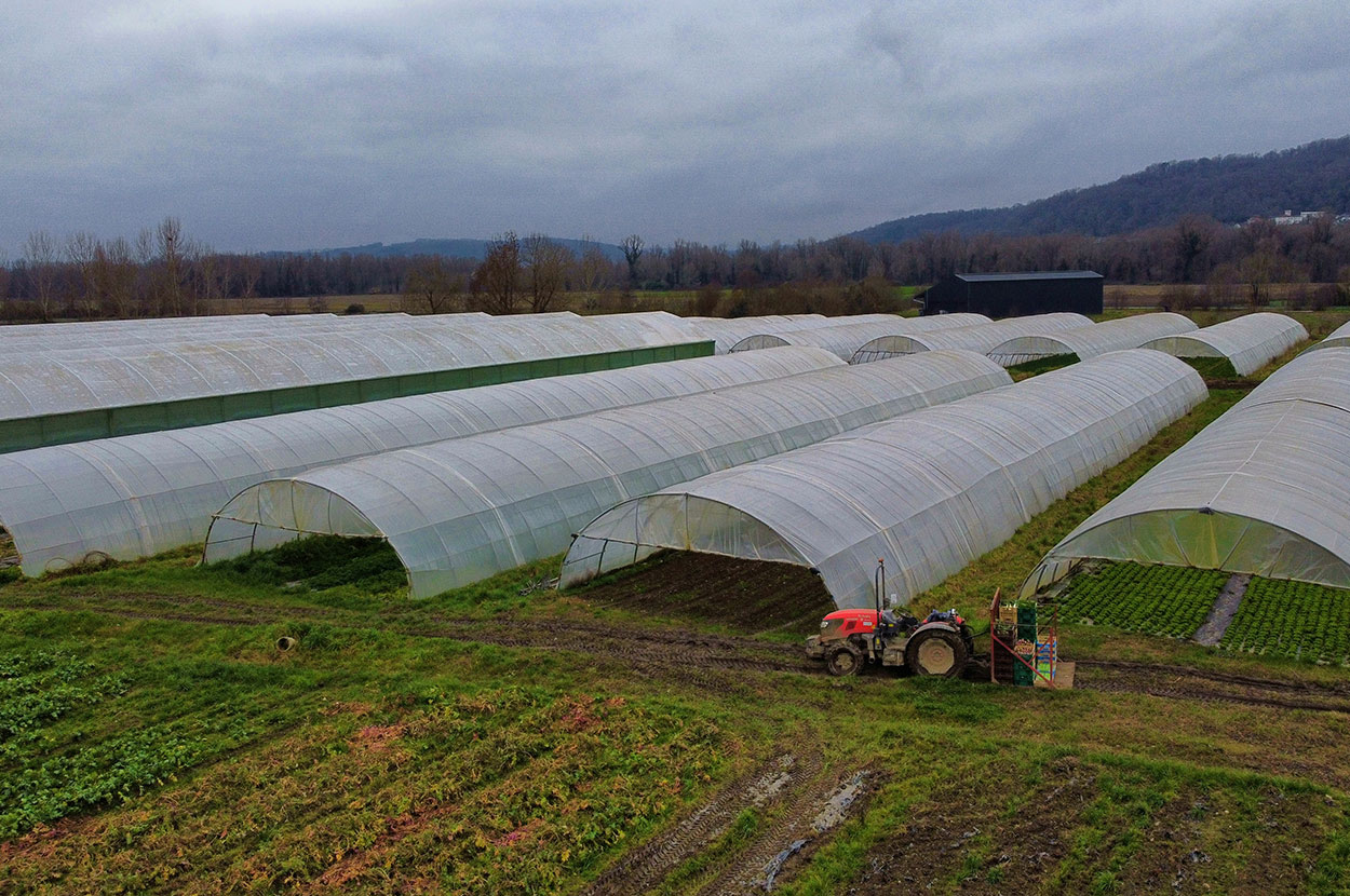 Cueillir ses légumes Assat, Cueillir ses légumes Nay, Cueillir ses légumes Pau, Jardins partagés Assat, Jardins partagés Nay, Jardins partagés Pau, Légumes bio locaux Assat, Légumes bio locaux Nay, Légumes bio locaux Pau, Maraicher bio Assat, Maraicher bio Nay, Maraicher bio Pau, Vente légumes ferme Assat, Vente légumes ferme Nay, Vente légumes ferme Pau