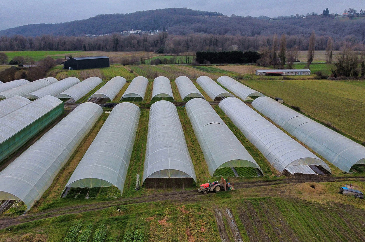Cueillir ses légumes Assat, Cueillir ses légumes Nay, Cueillir ses légumes Pau, Jardins partagés Assat, Jardins partagés Nay, Jardins partagés Pau, Légumes bio locaux Assat, Légumes bio locaux Nay, Légumes bio locaux Pau, Maraicher bio Assat, Maraicher bio Nay, Maraicher bio Pau, Vente légumes ferme Assat, Vente légumes ferme Nay, Vente légumes ferme Pau