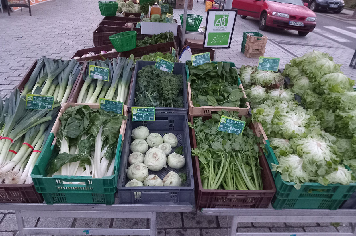 Cueillir ses légumes Assat, Cueillir ses légumes Nay, Cueillir ses légumes Pau, Jardins partagés Assat, Jardins partagés Nay, Jardins partagés Pau, Légumes bio locaux Assat, Légumes bio locaux Nay, Légumes bio locaux Pau, Maraicher bio Assat, Maraicher bio Nay, Maraicher bio Pau, Vente légumes ferme Assat, Vente légumes ferme Nay, Vente légumes ferme Pau