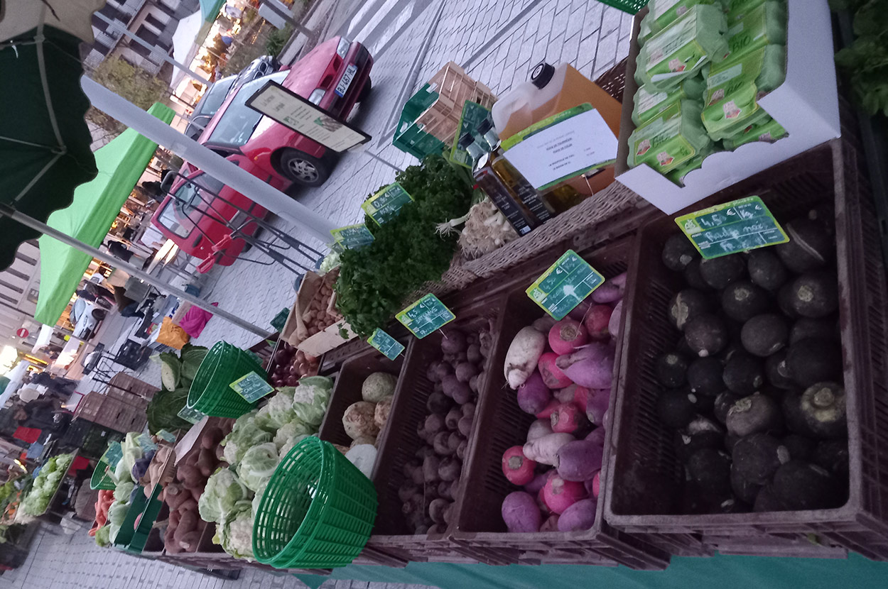 Cueillir ses légumes Assat, Cueillir ses légumes Nay, Cueillir ses légumes Pau, Jardins partagés Assat, Jardins partagés Nay, Jardins partagés Pau, Légumes bio locaux Assat, Légumes bio locaux Nay, Légumes bio locaux Pau, Maraicher bio Assat, Maraicher bio Nay, Maraicher bio Pau, Vente légumes ferme Assat, Vente légumes ferme Nay, Vente légumes ferme Pau