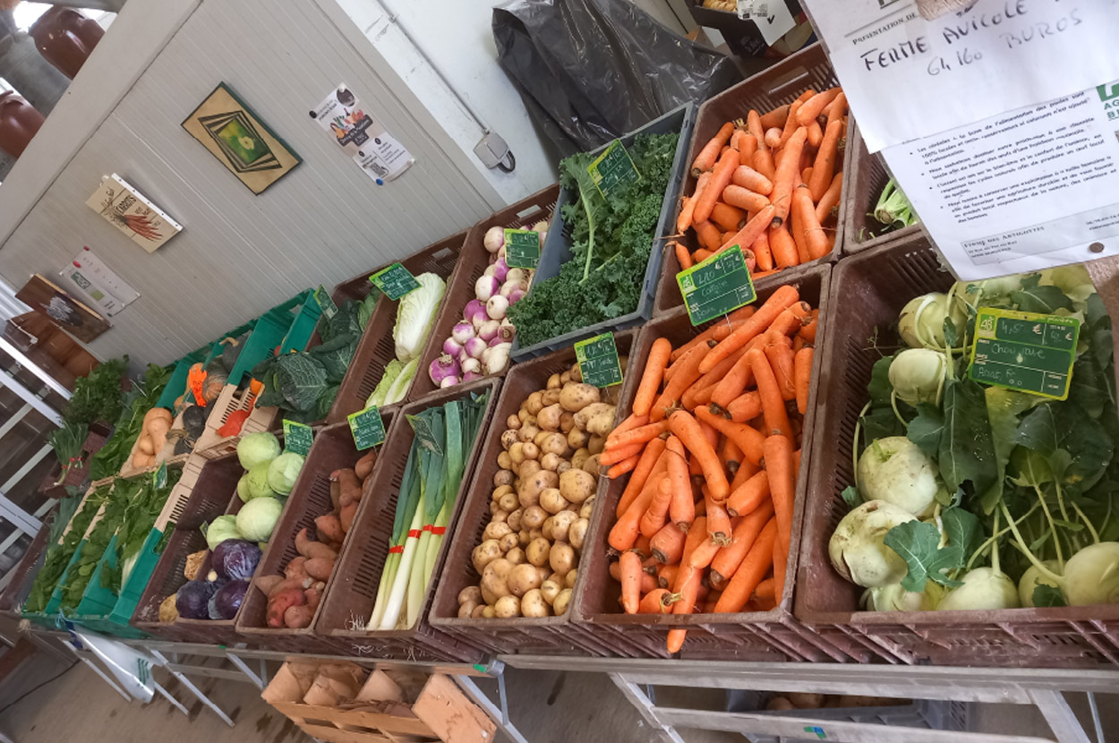 Cueillir ses légumes Assat, Cueillir ses légumes Nay, Cueillir ses légumes Pau, Jardins partagés Assat, Jardins partagés Nay, Jardins partagés Pau, Légumes bio locaux Assat, Légumes bio locaux Nay, Légumes bio locaux Pau, Maraicher bio Assat, Maraicher bio Nay, Maraicher bio Pau, Vente légumes ferme Assat, Vente légumes ferme Nay, Vente légumes ferme Pau