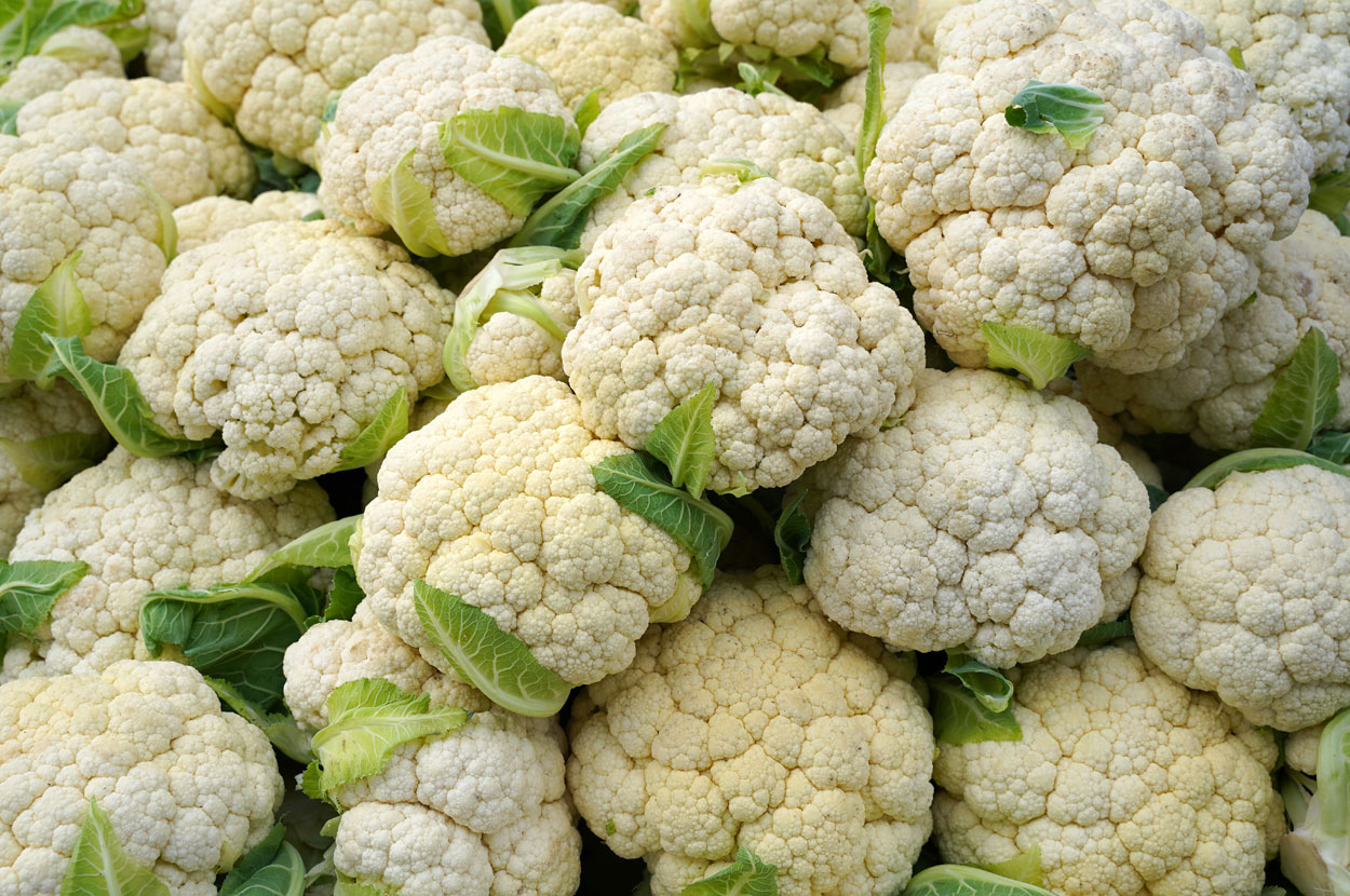 Cueillir ses légumes Assat, Cueillir ses légumes Nay, Cueillir ses légumes Pau, Jardins partagés Assat, Jardins partagés Nay, Jardins partagés Pau, Légumes bio locaux Assat, Légumes bio locaux Nay, Légumes bio locaux Pau, Maraicher bio Assat, Maraicher bio Nay, Maraicher bio Pau, Vente légumes ferme Assat, Vente légumes ferme Nay, Vente légumes ferme Pau