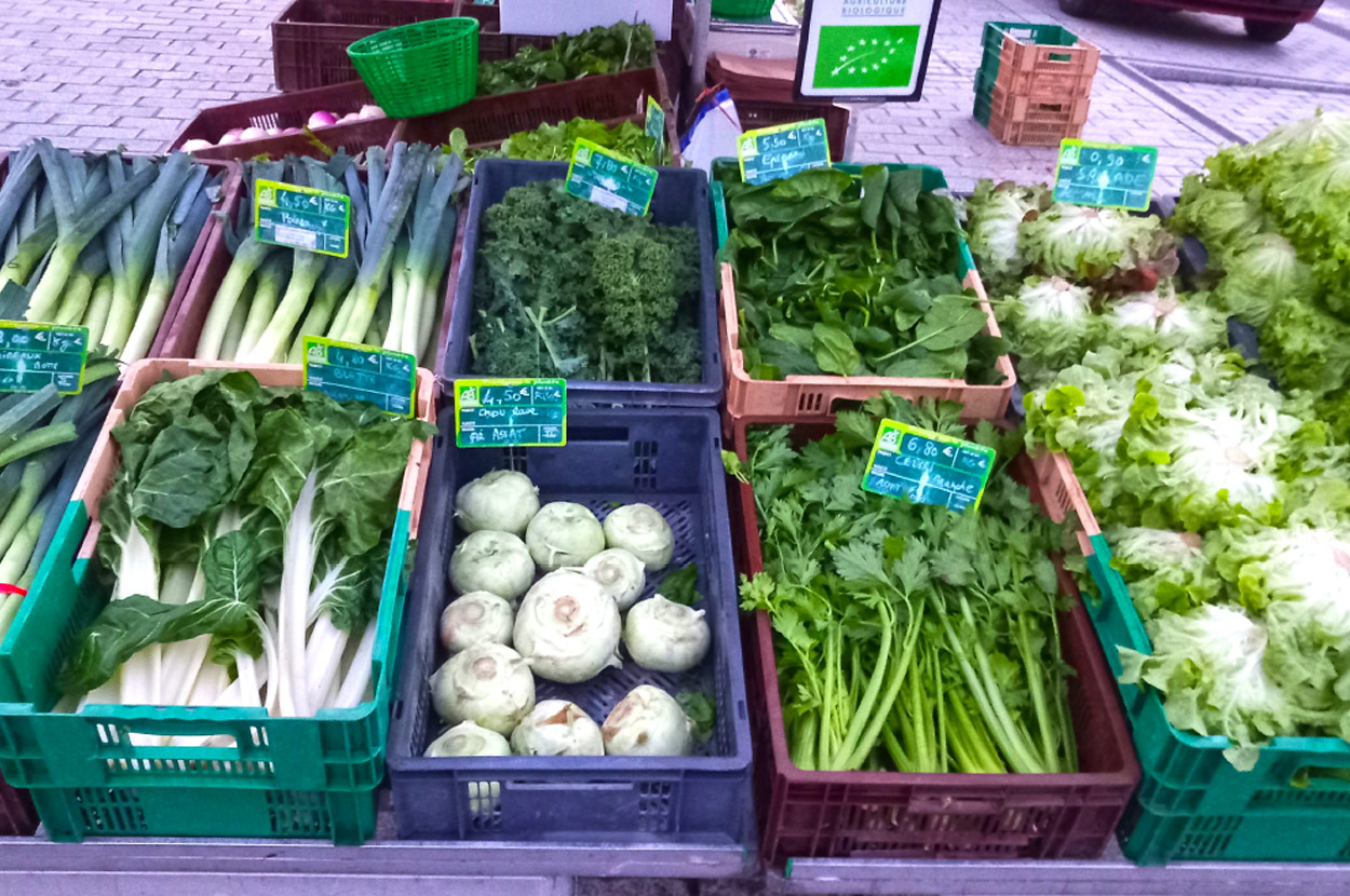 Cueillir ses légumes Assat, Cueillir ses légumes Nay, Cueillir ses légumes Pau, Jardins partagés Assat, Jardins partagés Nay, Jardins partagés Pau, Légumes bio locaux Assat, Légumes bio locaux Nay, Légumes bio locaux Pau, Maraicher bio Assat, Maraicher bio Nay, Maraicher bio Pau, Vente légumes ferme Assat, Vente légumes ferme Nay, Vente légumes ferme Pau