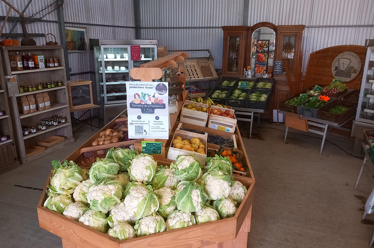 Cueillir ses légumes Assat, Cueillir ses légumes Nay, Cueillir ses légumes Pau, Jardins partagés Assat, Jardins partagés Nay, Jardins partagés Pau, Légumes bio locaux Assat, Légumes bio locaux Nay, Légumes bio locaux Pau, Maraicher bio Assat, Maraicher bio Nay, Maraicher bio Pau, Vente légumes ferme Assat, Vente légumes ferme Nay, Vente légumes ferme Pau