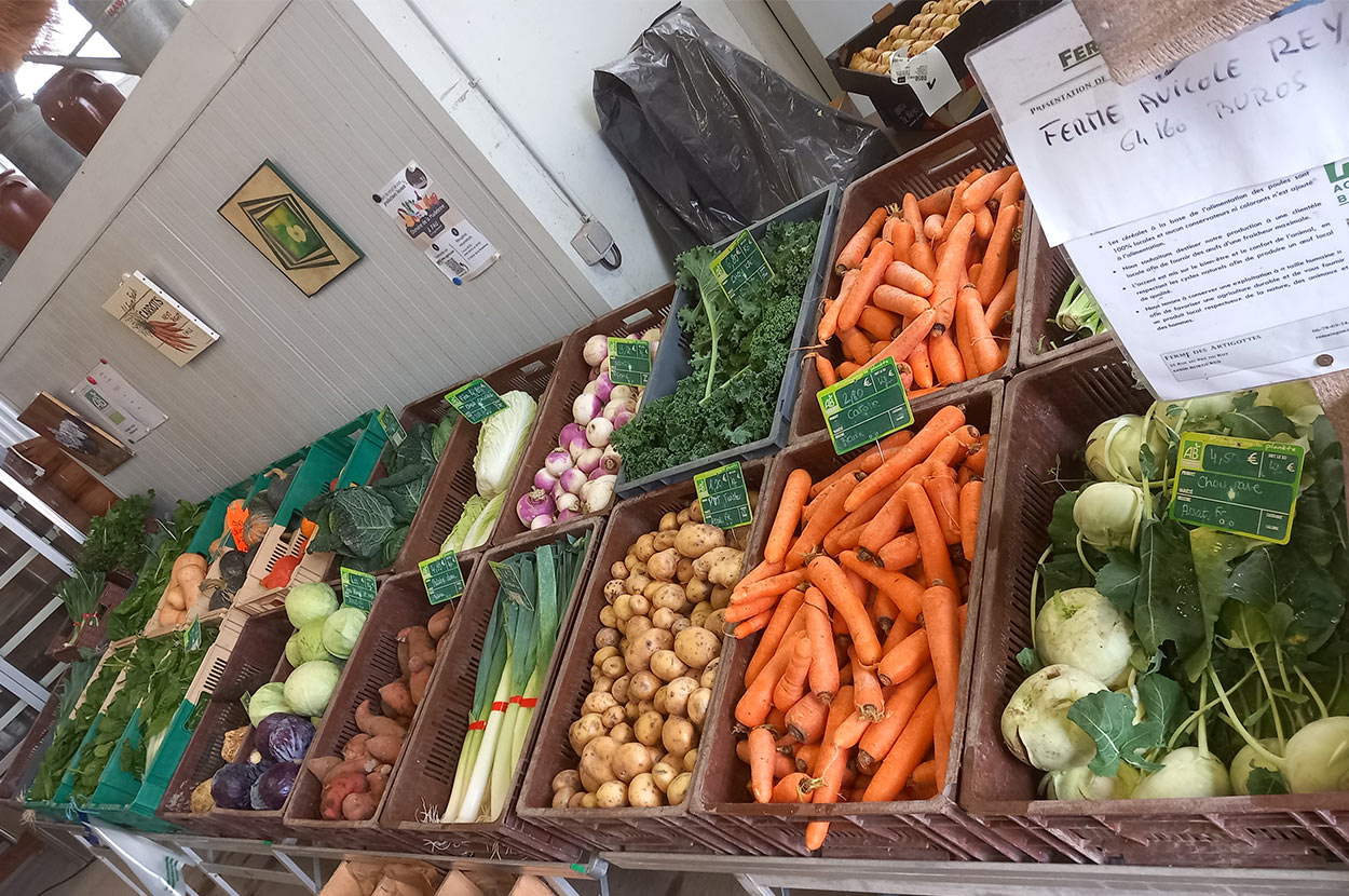 Cueillir ses légumes Assat, Cueillir ses légumes Nay, Cueillir ses légumes Pau, Jardins partagés Assat, Jardins partagés Nay, Jardins partagés Pau, Légumes bio locaux Assat, Légumes bio locaux Nay, Légumes bio locaux Pau, Maraicher bio Assat, Maraicher bio Nay, Maraicher bio Pau, Vente légumes ferme Assat, Vente légumes ferme Nay, Vente légumes ferme Pau